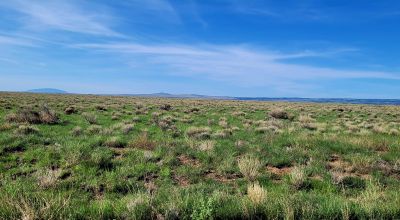 5 acres North of Capulin Colorado * 6 villages * Southern Colorado
