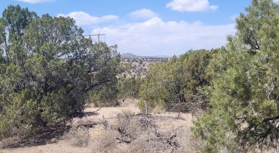 Surrounded by Santa Fe National Forest - Near Las Campanas and Golf Course - 8 Miles from Santa Fe