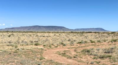 Stargaze, Explore, Unplug, 5 Off-Grid Acres in San Luis, Colorado