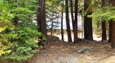 Heavily Forested property with incomplete steel pole metal roof shed/barn