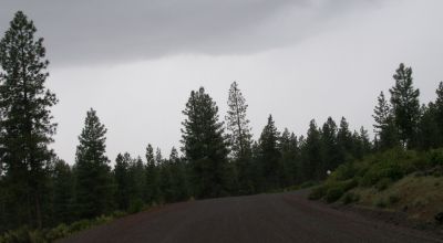 10 Treed acres Near Beatty Oregon - Owner financing available