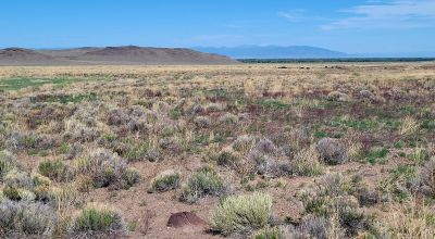 30 acres East of Manassa Colorado - No restrictions