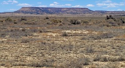 Hwy 509 Frontage - Power at road - Near Ambrosia Lake - Four 1-acre parcels available