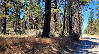 Park Like Settings on Over 2.5  acres Power at Property Line