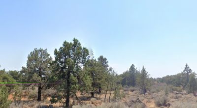 20 acres between Pittville & Nubeiber California - Trees - Old Mobile