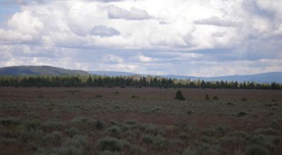 Scenic Oregon 160 acres wide open spaces