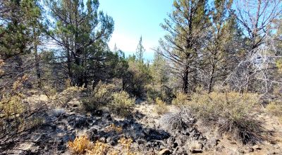 Sprague River Valley Views * Trees * Mobiles, modulars, site-builds ok