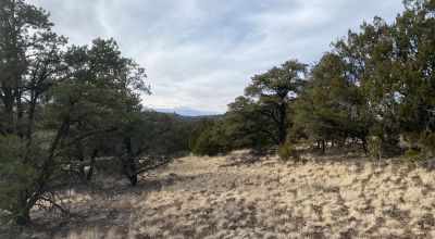 Rare! Bureau of Indian Affairs Inholding 40 acres - New Mexico