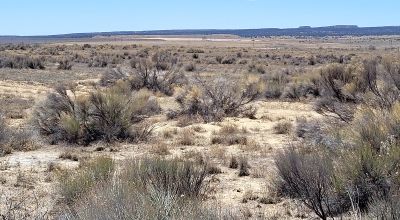 Scenic New Mexico Desert 25 miles N-NW of Grants - 1 acre parcels - Camp RV Build