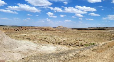 Rugged 200 acres - Graded Dirt Roads
