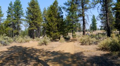 Southern Oregon Sprague River - Trees - Power - Main Road Access