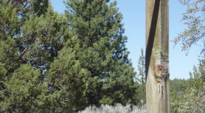 3 adjoining treed lots on cul de sac *