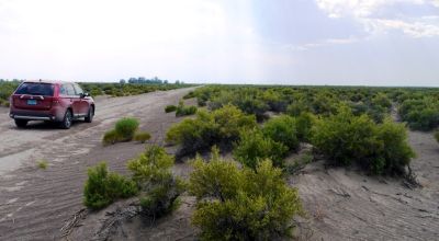 10+ acres Scenic San Luis Valley of Southern Colorado - County Road 4S frontage