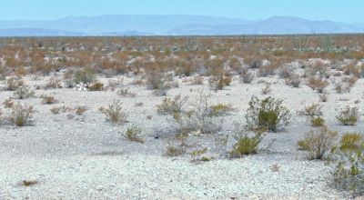 80 acres Mountains of West Texas Desert