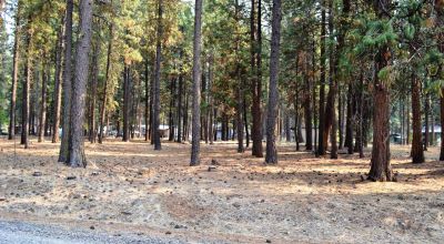 Keno Oregon Heavily Wooded Building Lot - Over One Acre - Power