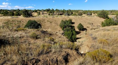 Treed Parcel - Arroyo at Back Property Line - Views - Near 2 Lakes