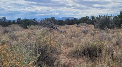 20 acres Scenic New Mexico Huge Southerly Views with Power at the Road