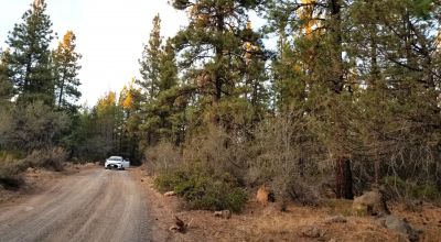Forested Lot  Camp * RV * Build