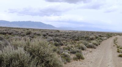2 adjoining 80 acre parcels * Dolly Varden
