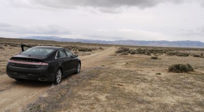 2 adjoining 80 acre parcels * Dolly Varden