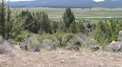 2 adjoining lots with wide open views of Sprague River and Valley