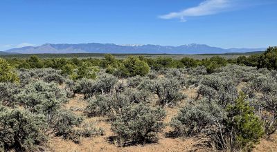 1/2 acre Taos New Mexico - Camp RV Build - Bring the Bus!!