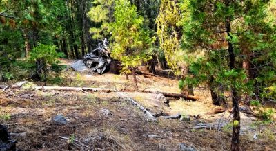 Heavily Forested property with incomplete steel pole metal roof shed/barn