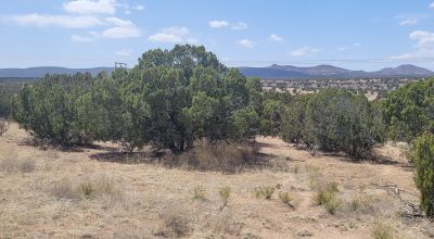 Surrounded by Santa Fe National Forest - Near Las Campanas and Golf Course - 8 Miles from Santa Fe