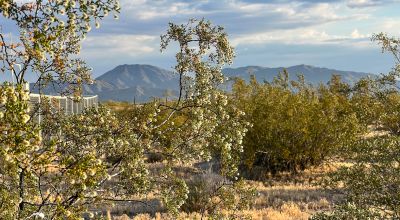 2.51 Acres in Salome, AZ! RV Living Allowed! Fenced, Septic Installed & Power Close! $0 DOWN NO HOA!