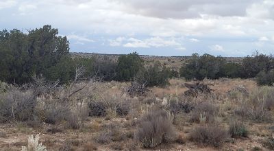 30 acre Central New Mexico Property Windmill Ranch Excellent Roads. Power at Road