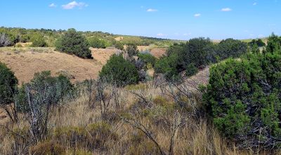 Treed Parcel - Arroyo at Back Property Line - Views - Near 2 Lakes