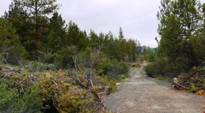 40 acre Forested parcel includes base of the hill and part of the hill - Views Trees