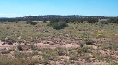 Ranch of the Golden Horse - Snowflake Arizona - Scenic Desert Views
