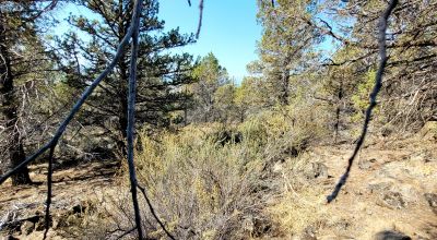 Sprague River Valley Views * Trees * Mobiles, modulars, site-builds ok