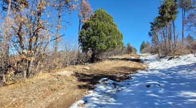 Sherwood Forest 1 acre near Torreon New Mexico - Base of the Manzano Mountains