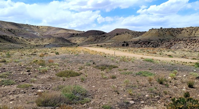 Rugged 200 acres - Graded Dirt Roads