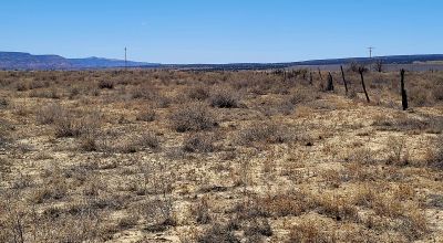 Ambrosia Lake area - 4 adjoining 1 acre parcels - Camp RV Build RV - Scenic desert views
