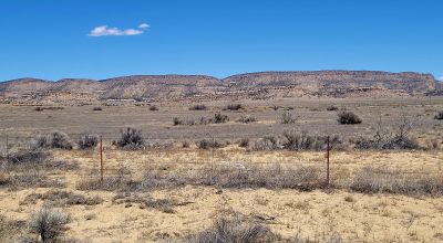 Hwy 509 Frontage - Power at road - Near Ambrosia Lake - Four 1-acre parcels available