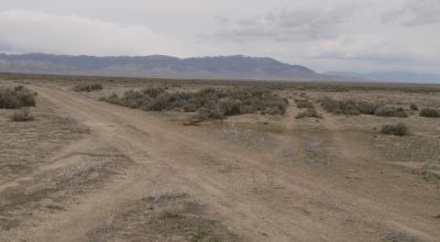 2 adjoining 80 acre parcels * Dolly Varden