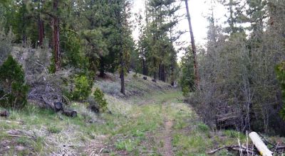 10 acres on the Hill with trees - Easterly Views - 15 miles to Lakeview Oregon
