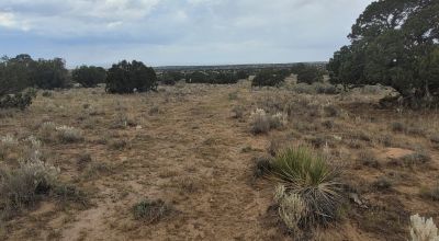 30 acre Central New Mexico Property Windmill Ranch Excellent Roads. Power at Road