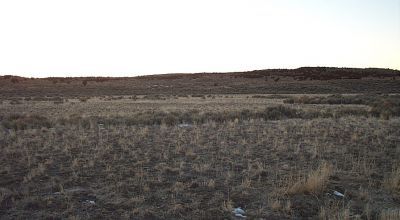 In the Hills above the Pilot Valley 40 acre mini ranch