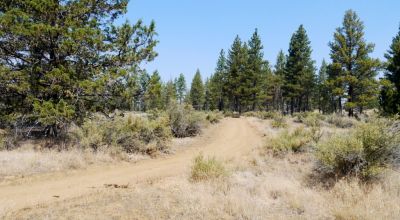 Southern Oregon Sprague River - Trees - Power - Main Road Access