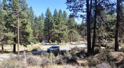 Bonanza Oregon land - 2 adjoining lots with Trees - Power at Road