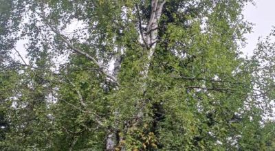 South of North Pole Alaska - Borders Hwy 2 aka Richardson Hwy