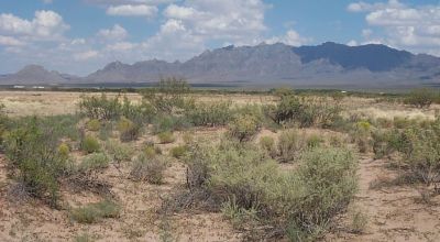 10 acres of affordable New Mexico Desert