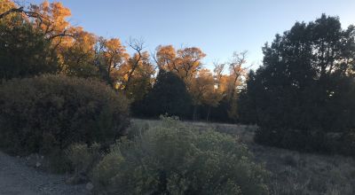 1 Acre Buildable lot in the gated Zapata Subdivision