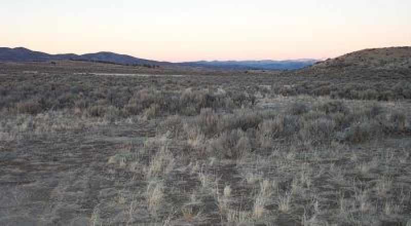 In the Hills above the Pilot Valley 40 acre mini ranch