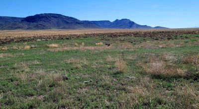 30 acres East of Manassa Colorado - No restrictions