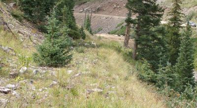 Historic Alpine Loop Southern Colorado - Animas River